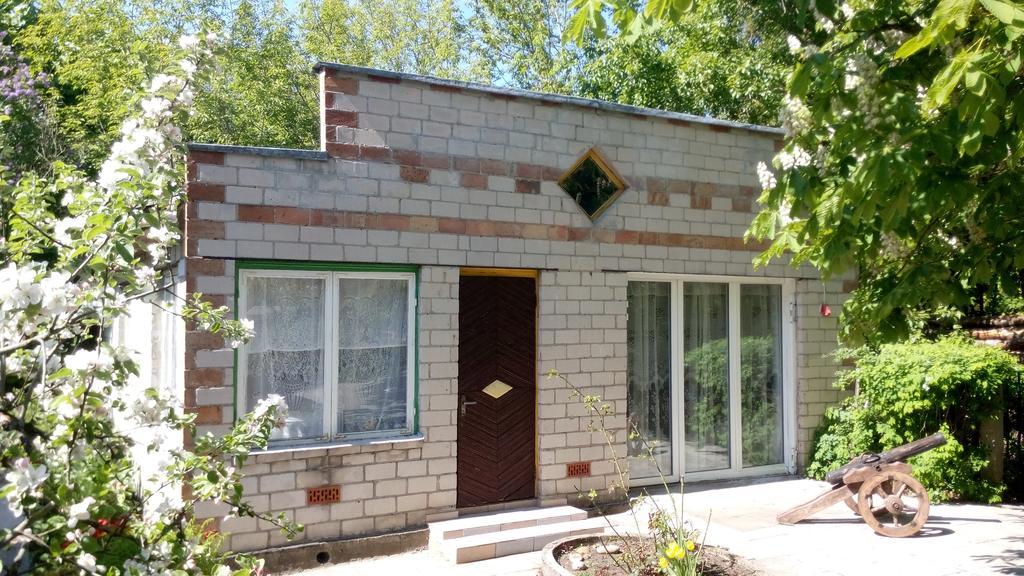 Koidula Holiday Home Нарва-Йиесуу Екстер'єр фото